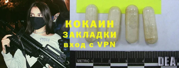 прущие грибы Беломорск