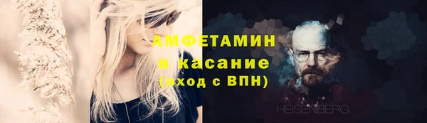 прущие грибы Беломорск