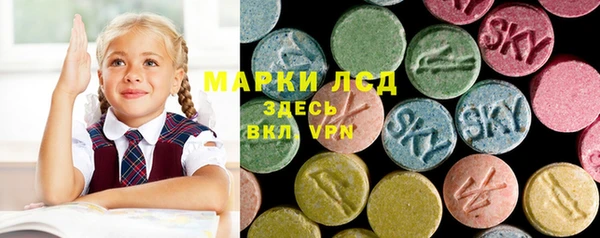 прущие грибы Армянск